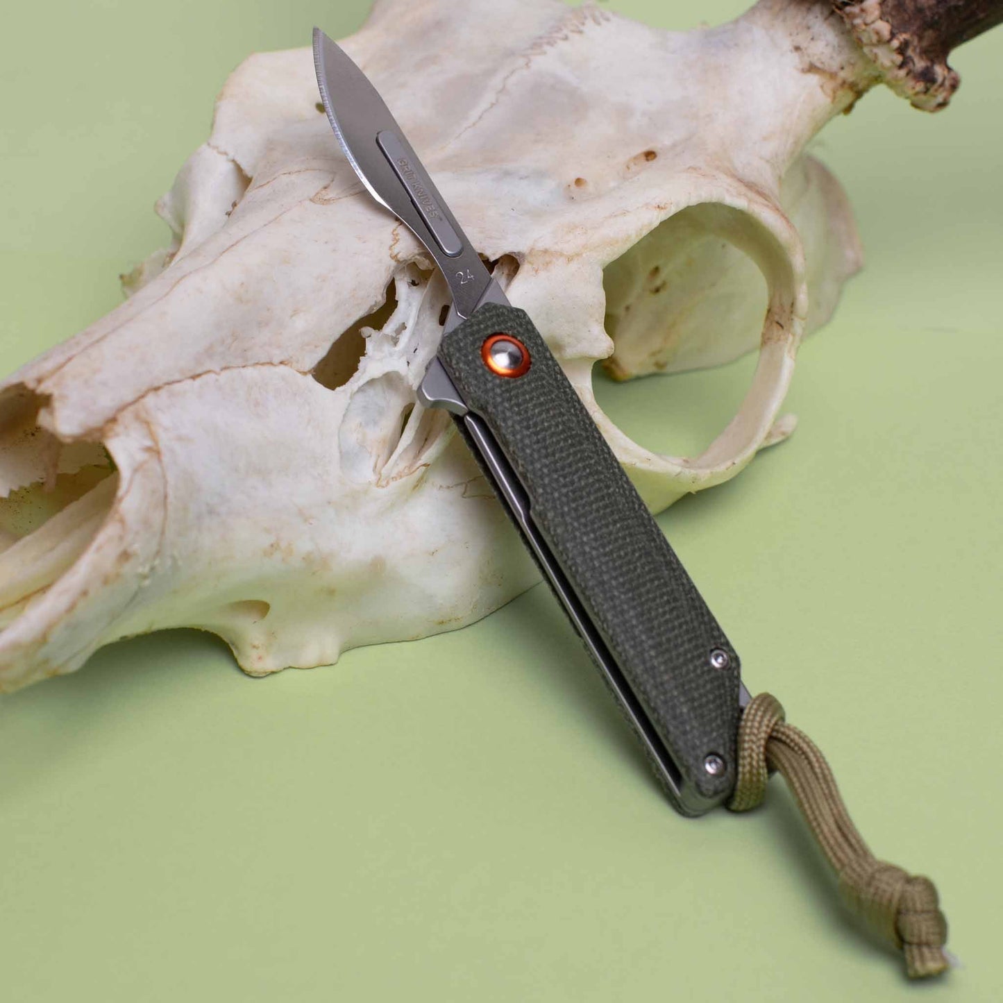 The_Hunter's Scalpel