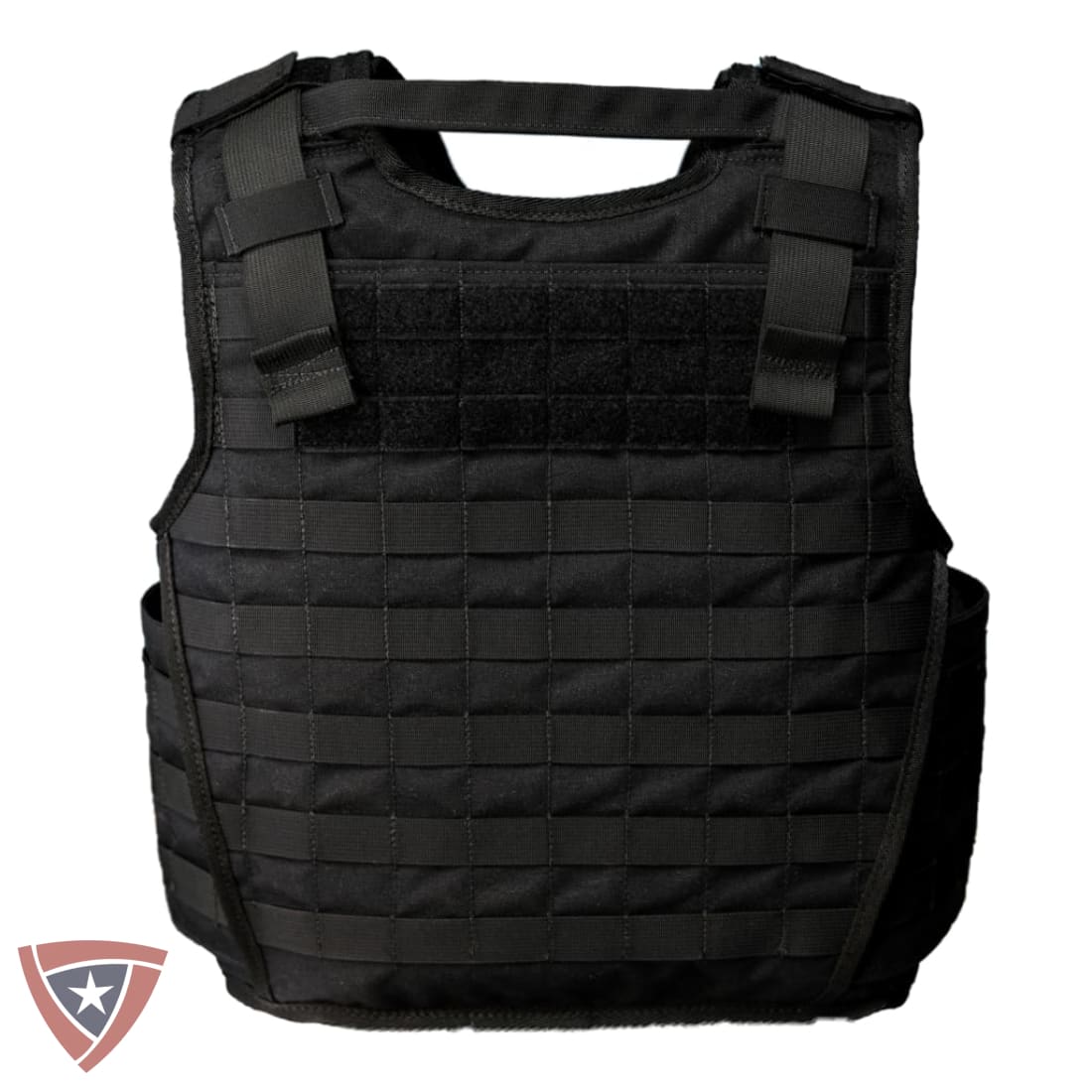 Citizen SHTF Tactical Body Armor and Carrier
