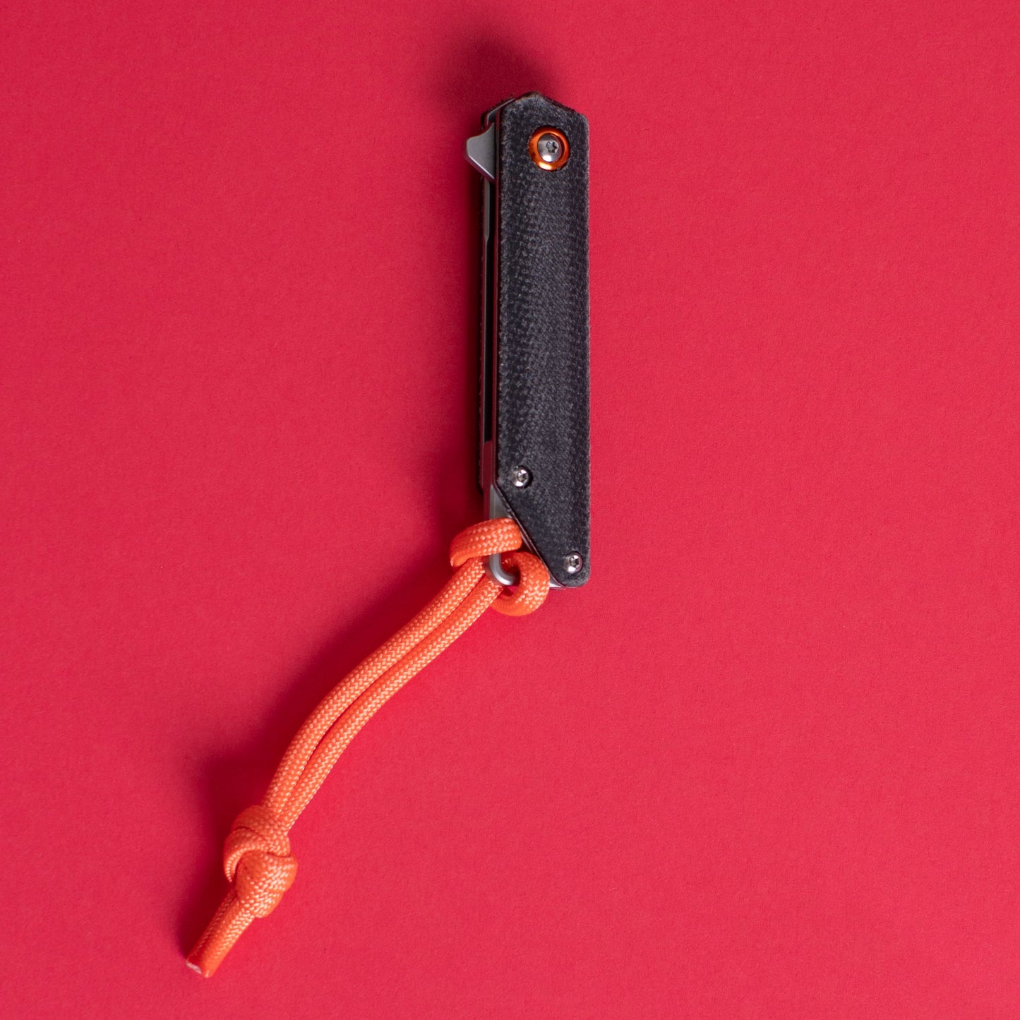 The_Hunter's Scalpel