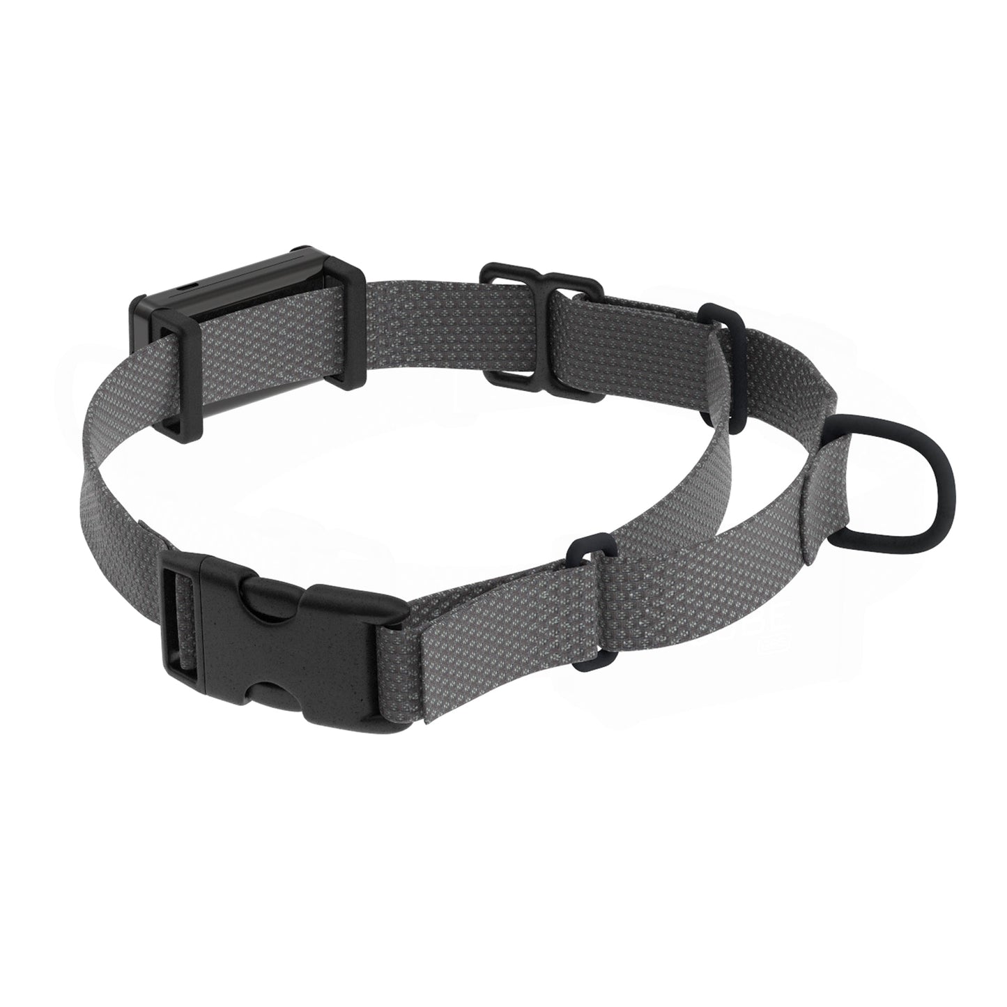 Collar Attachment Clips