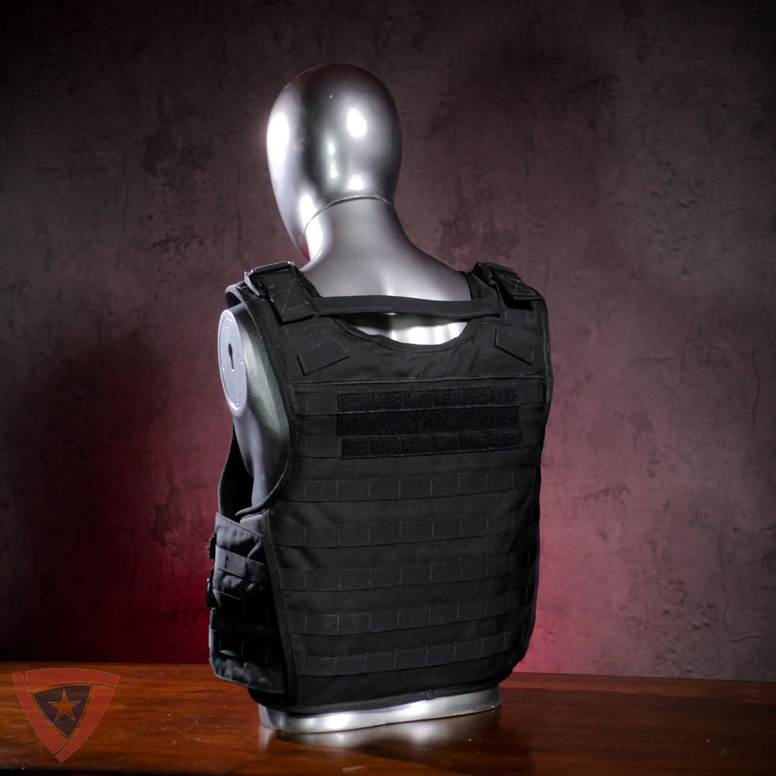 Citizen SHTF Tactical Body Armor and Carrier
