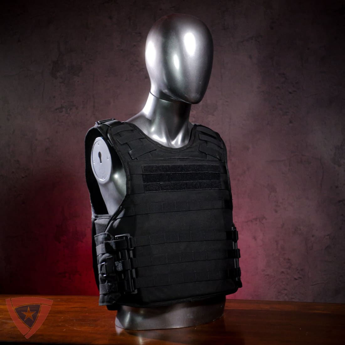 Citizen SHTF Tactical Body Armor and Carrier