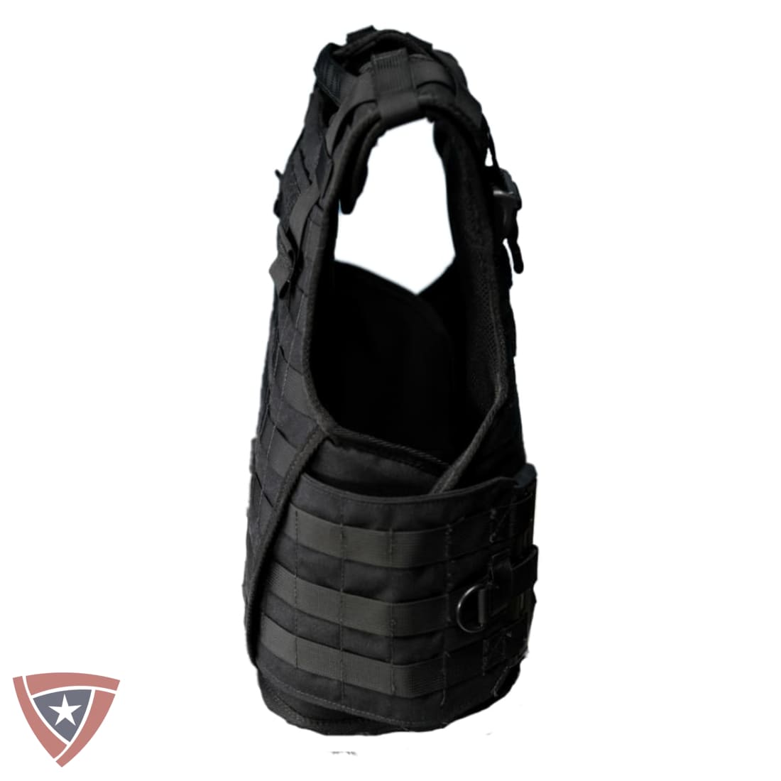Citizen SHTF Tactical Body Armor and Carrier