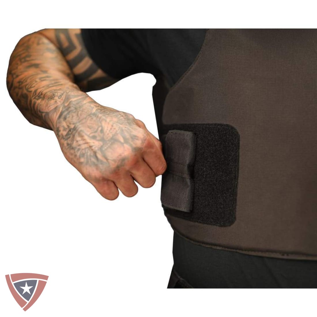 Covert Body Armor and Carrier