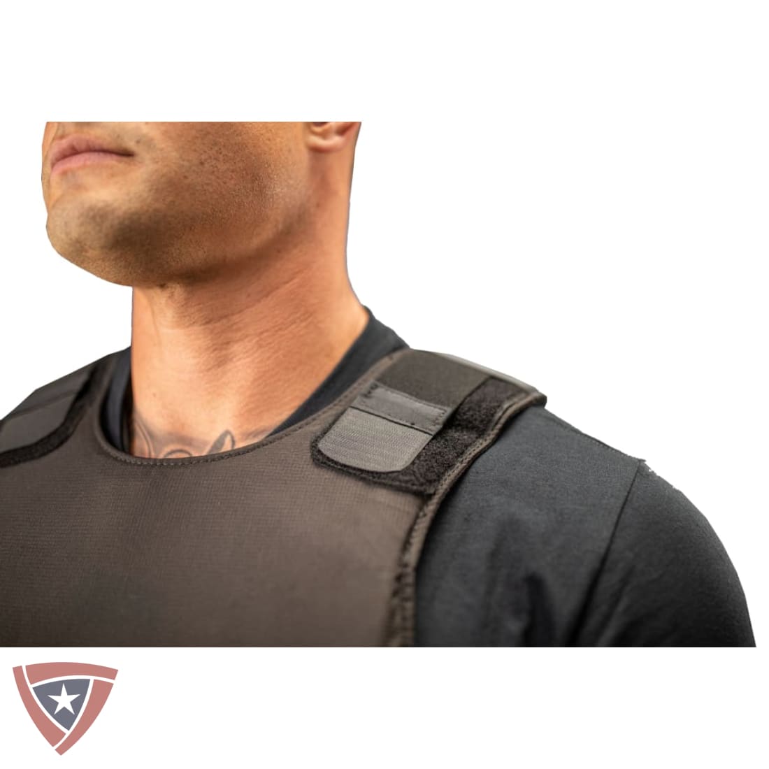 Covert Body Armor and Carrier